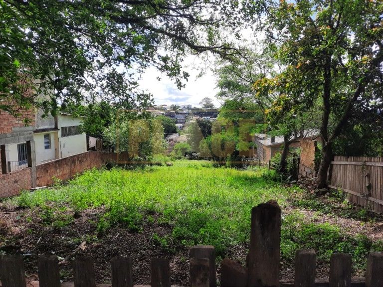 BAIRRO CORONEL NASSUCA - PLACE - Negócios Imobiliários - 1