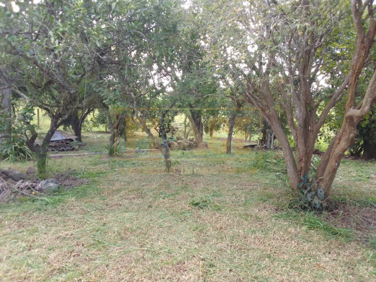 BARRA DO RIBEIRO - PLACE - Negócios Imobiliários - 13