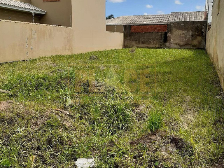 TERRENO CHACARA DAS PAINEIRAS - PLACE - Negócios Imobiliários - 1