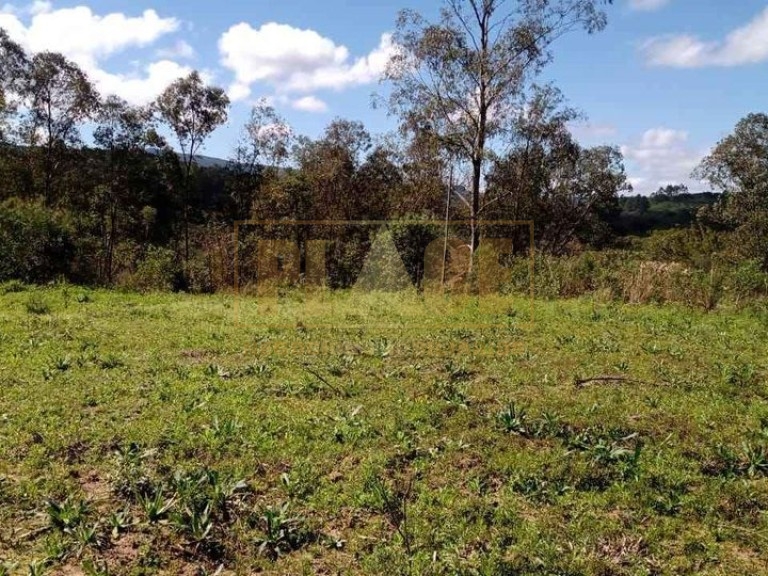 MARIANA PIMENTELPLACE - Negócios Imobiliários