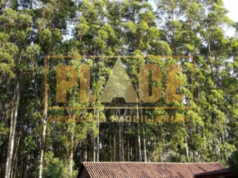 Casa no bairro Águas Claras - PLACE - Negócios Imobiliários - 12