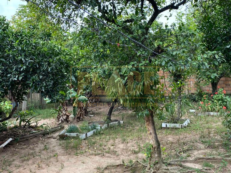 BAIRRO PEDRAS BRANCAS - PLACE - Negócios Imobiliários - 9